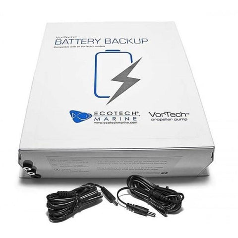 Backup Battery